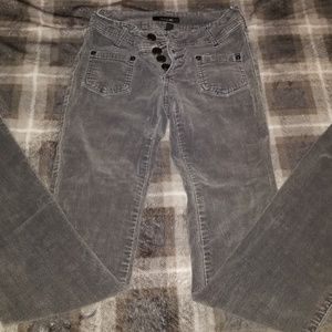 Gray corduroy Bebe pants